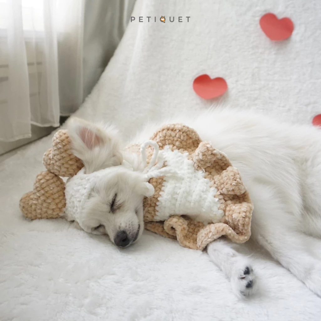 id-11134207-7r98t-lr9uehoihwwd19