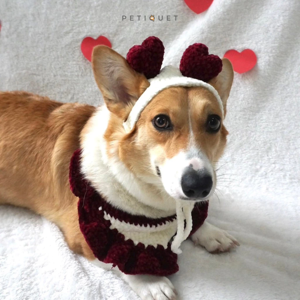 id-11134207-7r98v-lr9uehoikq1901